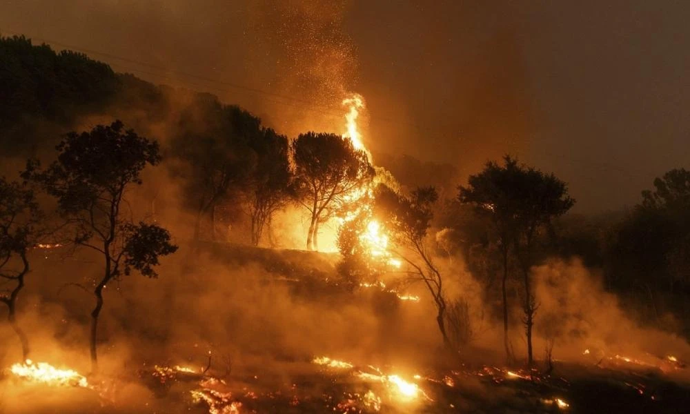 Έβρος: Σε ύφεση επιτέλους η φωτιά μετά από 16 εφιαλτικές μέρες